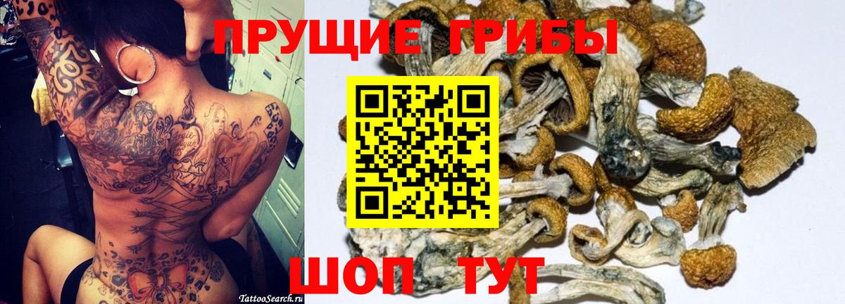 Петровск  Псилоцибиновые грибы GOLDEN TEACHER  Вход с VPN 