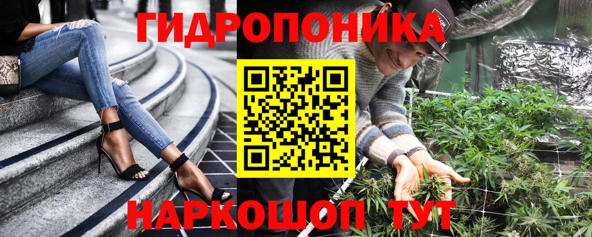 Марихуана сатива Петровск